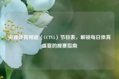 如何快速掌握CCTV5体育节目表？